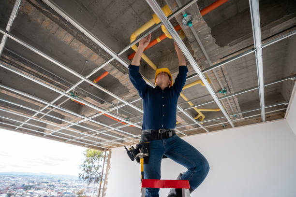 Best Local Plumber Services  in Pueblo, CO